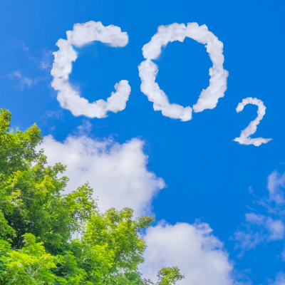 バイオフィルムOPP・CPP袋、フィルム袋